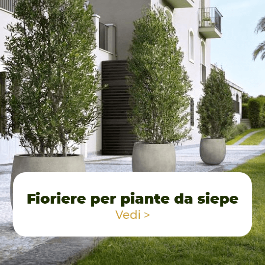 Fioriere per piante da siepe