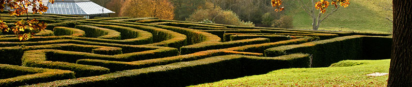 Potare il Bosso
